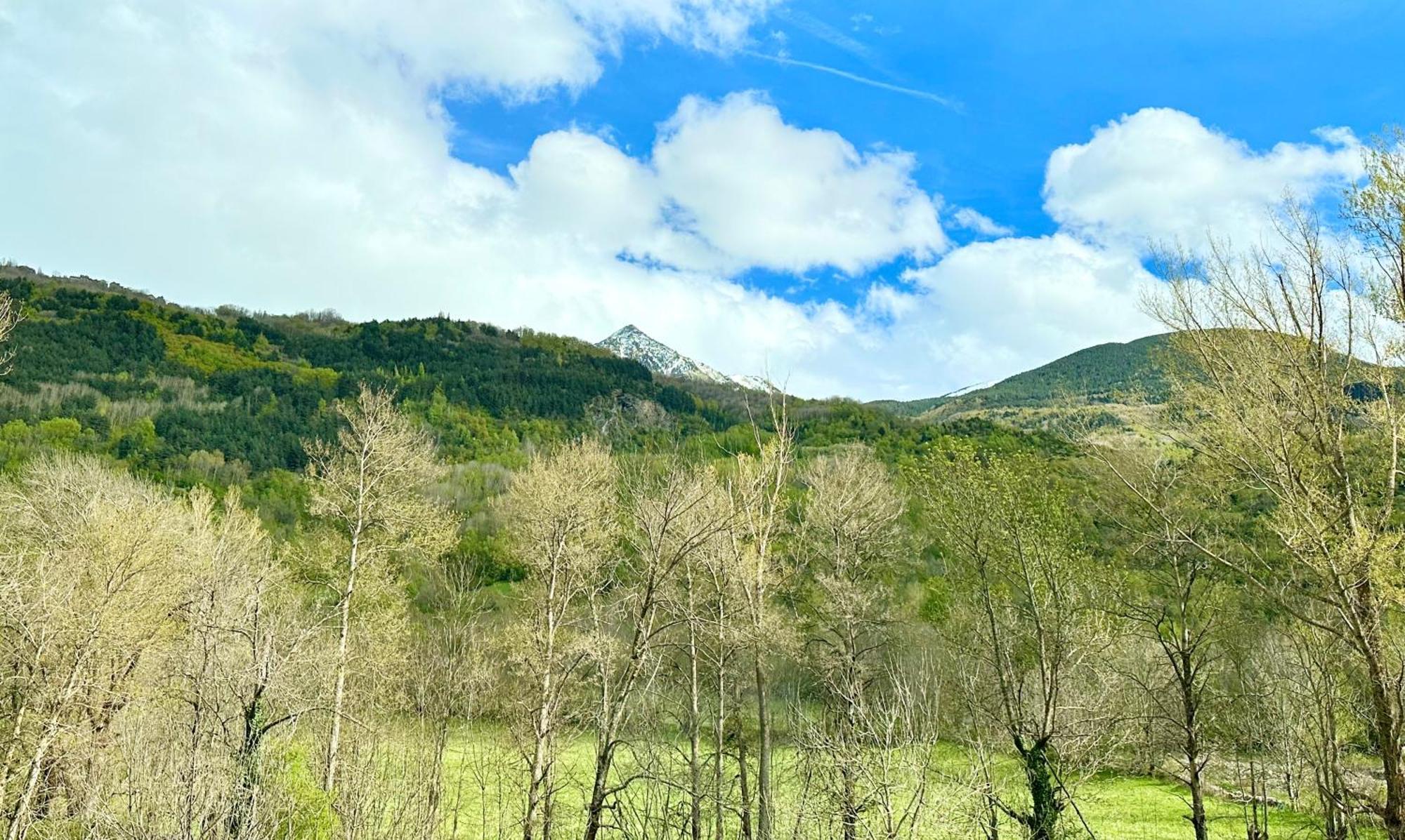 Apartament Bpirineos-Besurta Benasque Zewnętrze zdjęcie